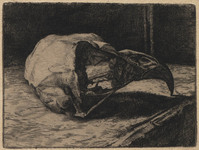 KG 18134
<br/>
Schedel van een uil
<br/>
<em>Nachenius, Jan Coenraad (1890-1987)</em>